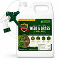 Natural Armor Weed and Grass Killer All-Natural Concentrated Formula. Contains No Glyphosate (16 Ounce Pint)