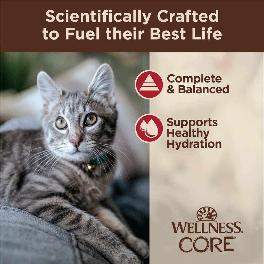 Wellness CORE Tiny Tasters Pate Adult Wet Cat Food, Natural, Protein Rich, Grain Free, Chicken Recipe, 1.75 oz, Pack of 12 Pouches
