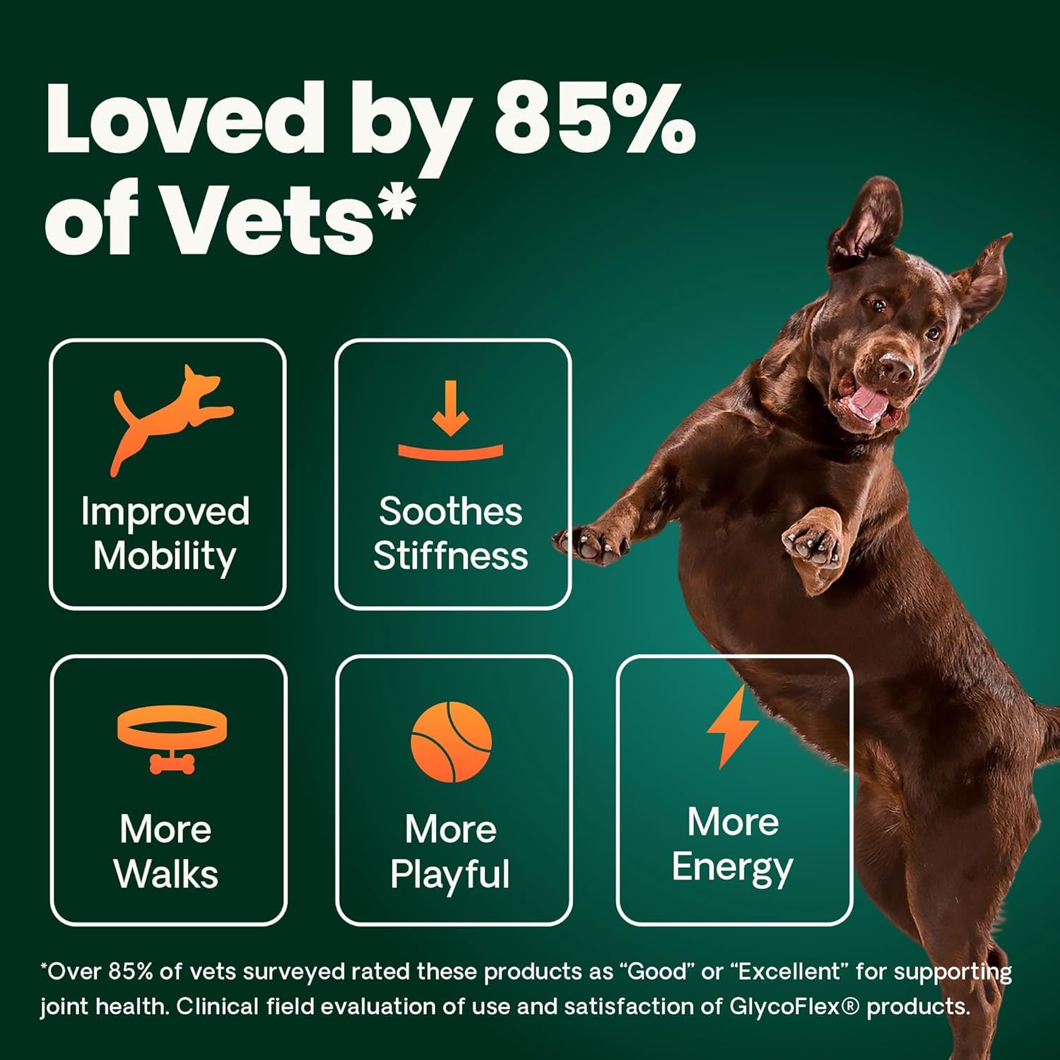 VetriScience Glycoflex 3 Vet Strength Glucosamine for Dogs Hip and Joint Supplement - Clinically Proven Mobility and Joint Supplement with MSM, DMG and Green Lipped Sea Mussel, Chicken, 60 Chews