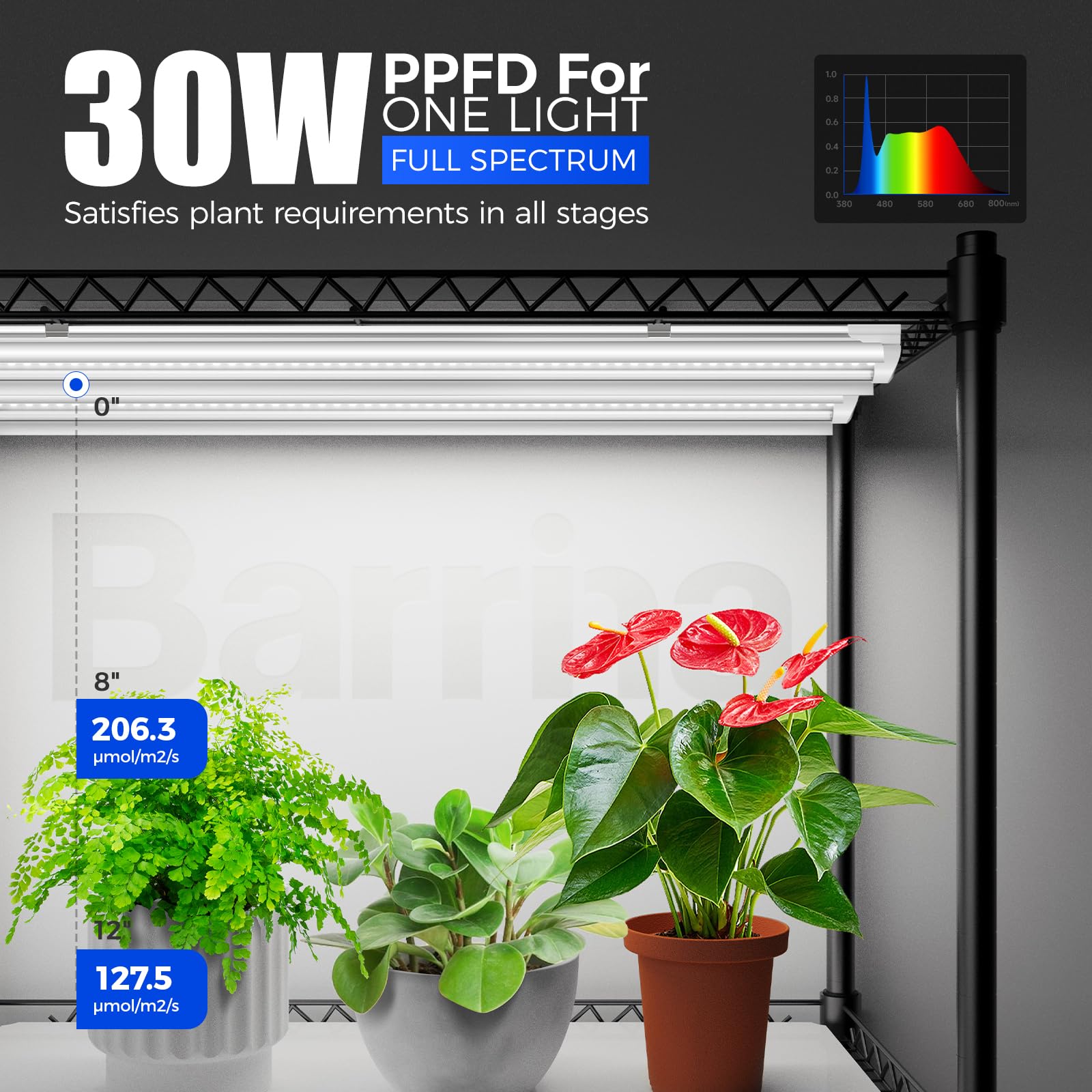 Barrina Indoor Greenhouse with Grow Light, with 40W Seed Starting LED Indoor Plant Light, Portable Mini Greenhouse with Timer for Seed Starter Tray, Seedling, Sprouting, Microgreens, 23x23x23IN