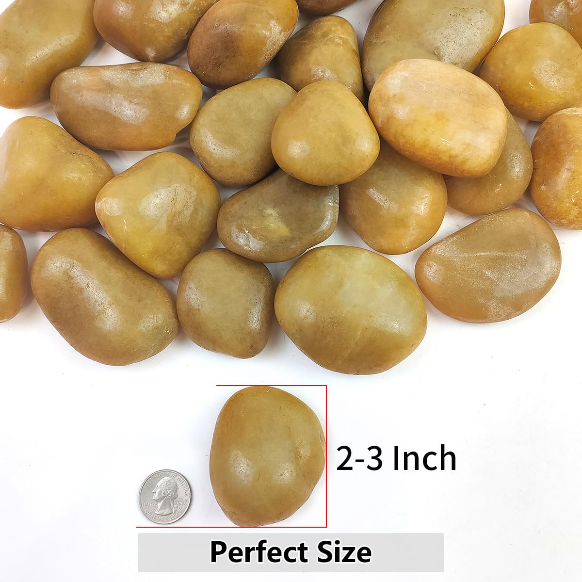 YISZM 5lbs Black Pebbles for Plants, 2-3 Inch High Polished Natural Large River Rocks for Landscaping, Decorative Stones Vase Filler Fish Tank Aquariums Garden Outdoor and Indoor DIY