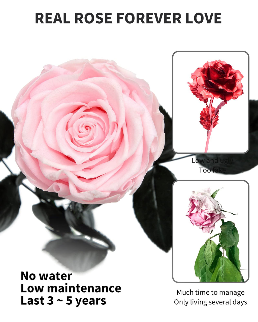 Flowers for Delivery Prime, Preserved Roses Flower Gifts for Women, Real Roses Single Rose Presents for Her, Mom Birthday Gifts from Daughter, Valentines Flowers Red Roses