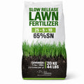 Slow Release Lawn Fertilizer 25-5-10 NPK - 65% Granular Nitrogen Formula for Deep Feeding up to 110 Days - 10kg (22lbs) Bag - Kid & Pet Safe Lawn Care for Lush Green Grass