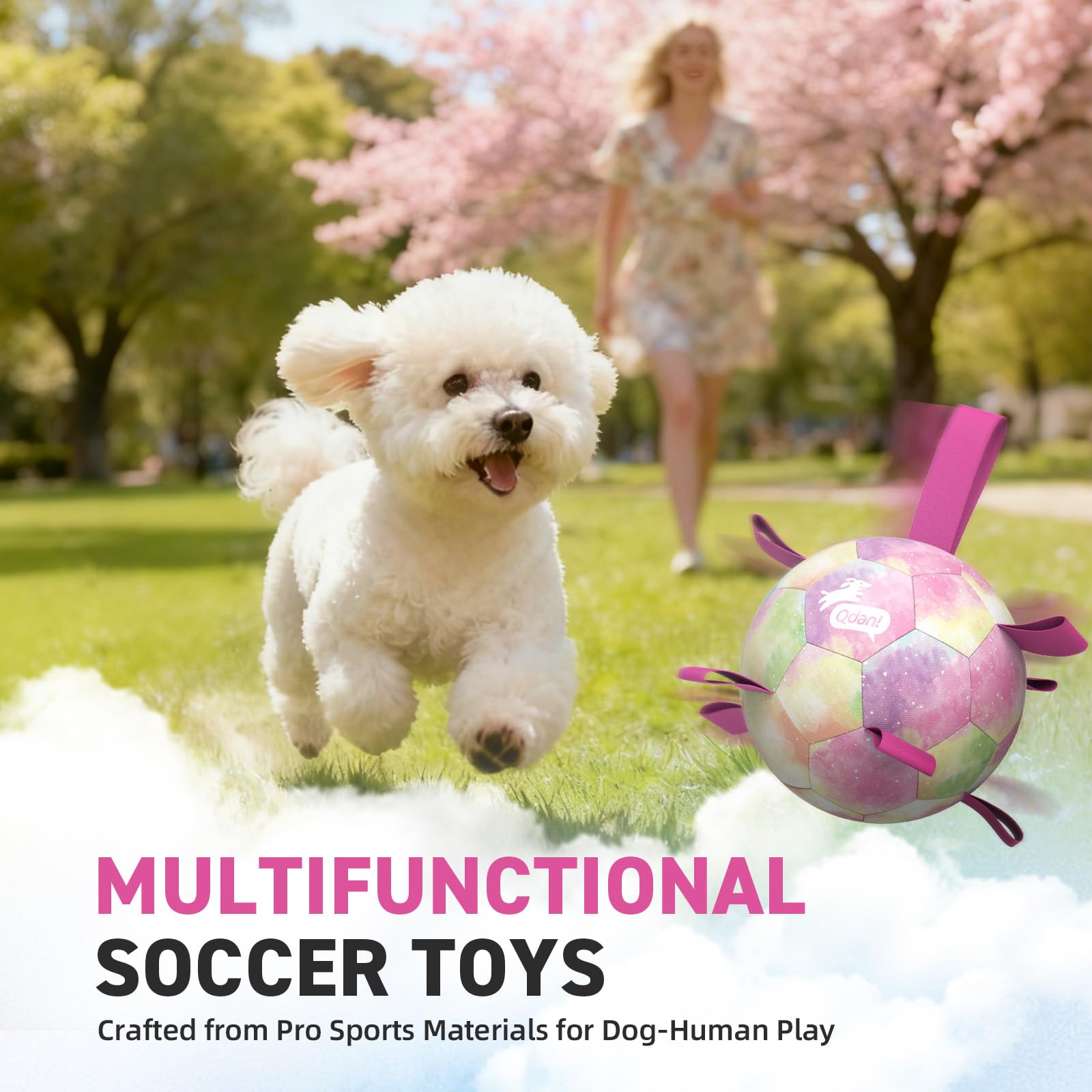 QDAN Dog Toys Soccer Ball with Straps, Durable Dog Balls for Tug of War, Puppy Birthday Gifts, Dogs Water Toy Small Dogs-Rainbow（5 Inch）