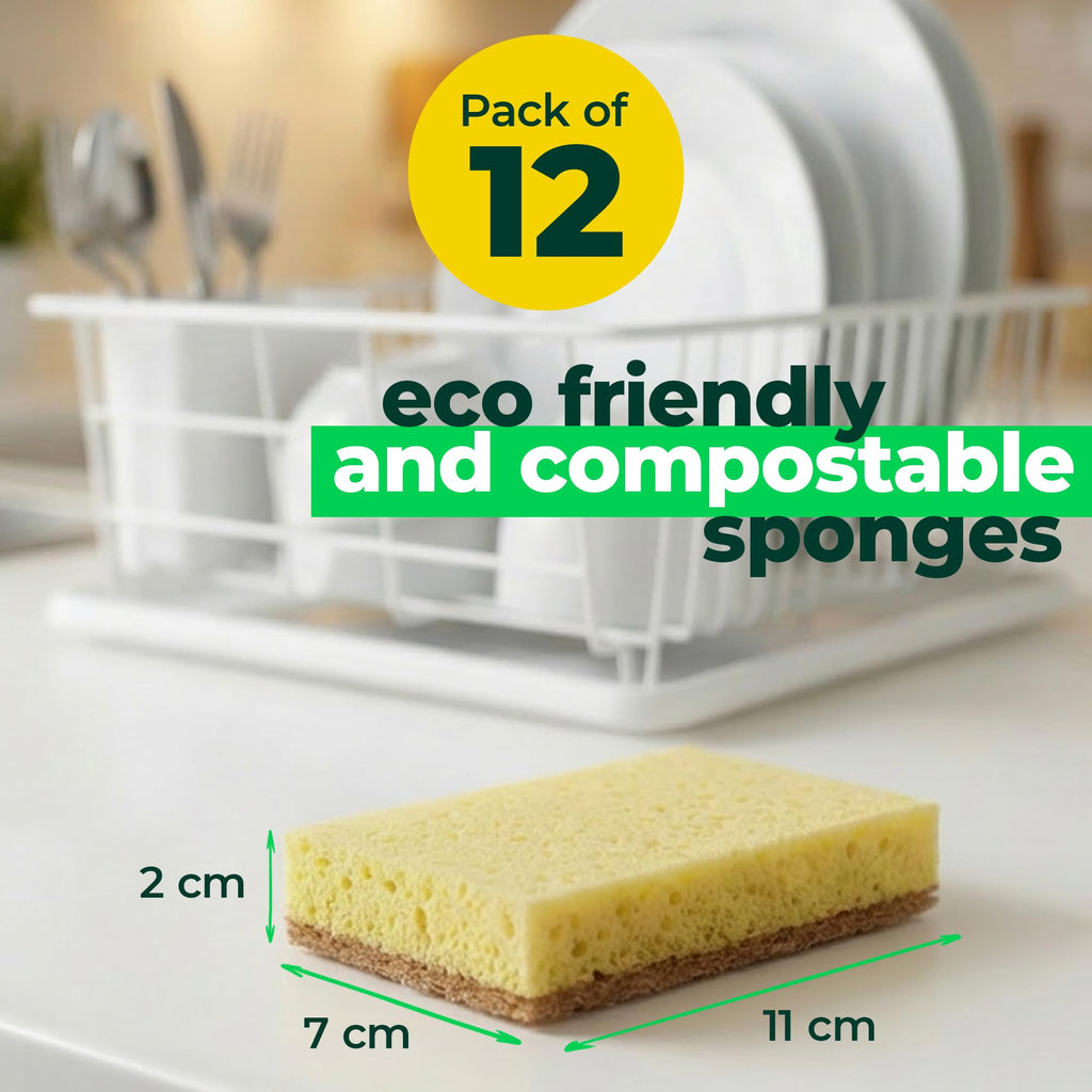 bioGo 30 Pack Compostable Pop-Up Sponges - Expanding, Non-Scratch, Plant-Based Dish - Bulk Color - Pop Up Sponge - Kitchen