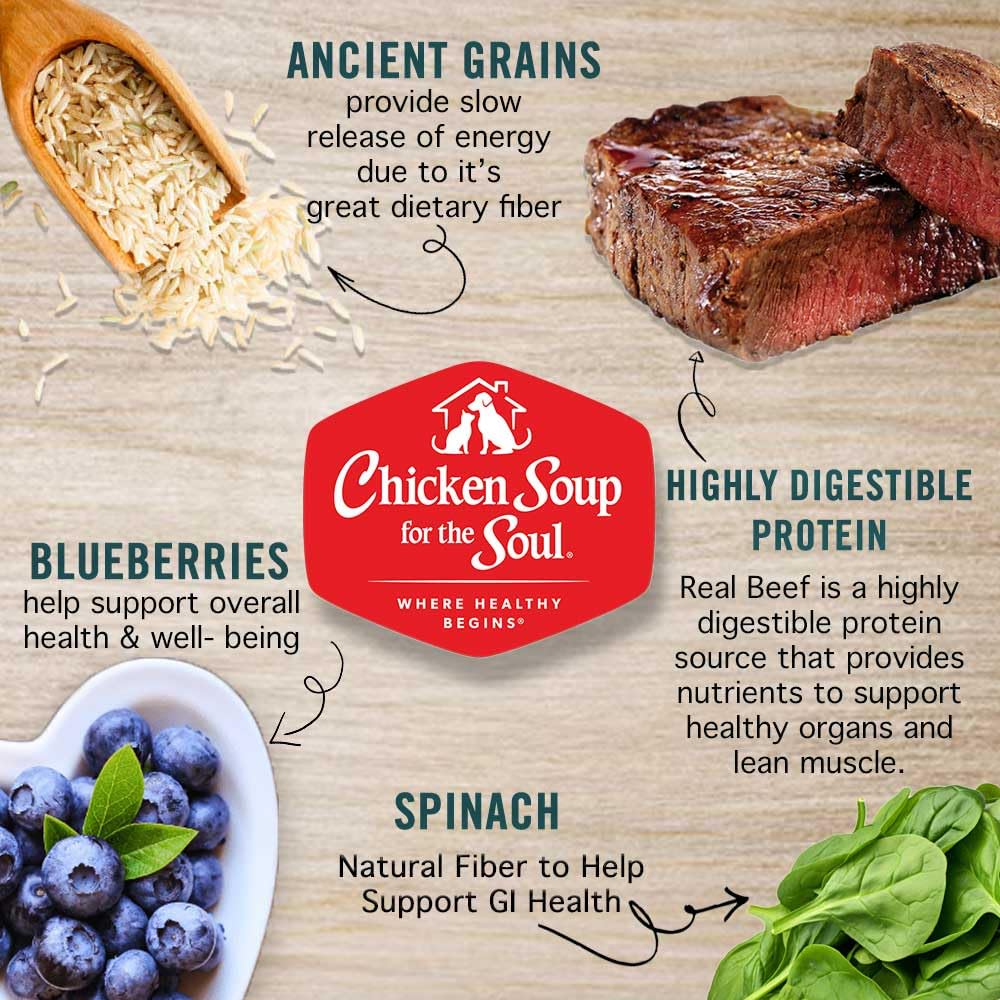 Chicken Soup for The Soul All Natural Premium Small Bites Adult Dry Dog Food, Real Meat First Ingredient, No by-Products, Supports Gut & Immune Health, Beef & Brown Rice, 13.5lb