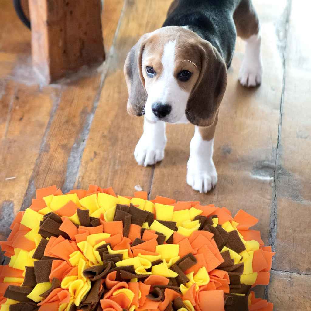 LIVEKEY Pet Snuffle Mat for Dogs, Dog Feeding Mat, Nosework Training Mats for Foraging Instinct Interactive Puzzle Toys (Orange&Yellow&Brown)