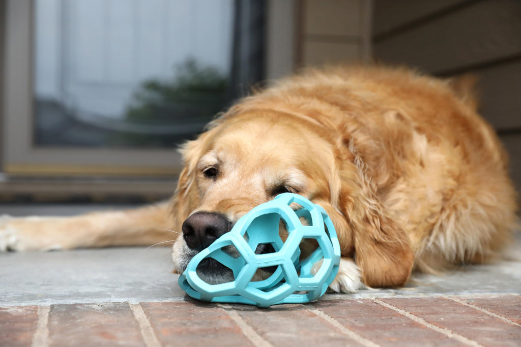 JW Pet HOL-ee Roller™, Dog Toy Puzzle Ball, Natural Rubber, Small (3 Inch Diameter), Blue
