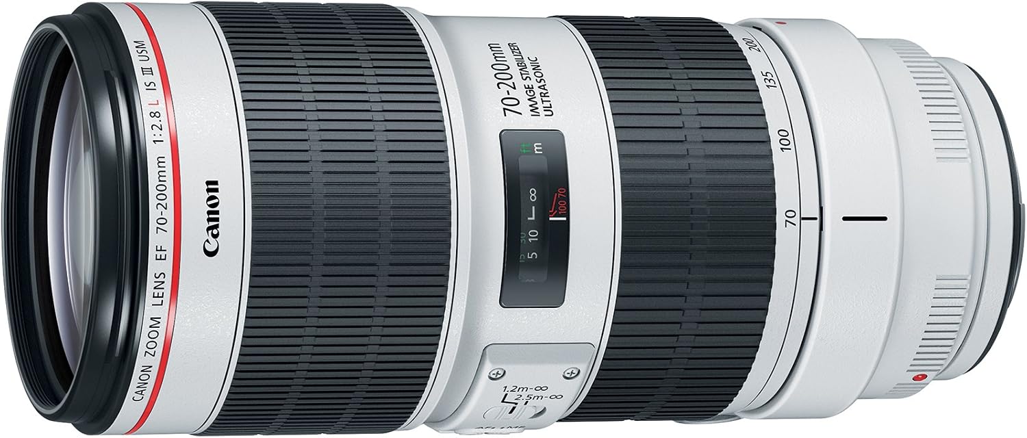 Canon EF 70-200mm f/2.8L IS III USM Telephoto Lens for Canon Digital SLR Cameras, White - 3044C002