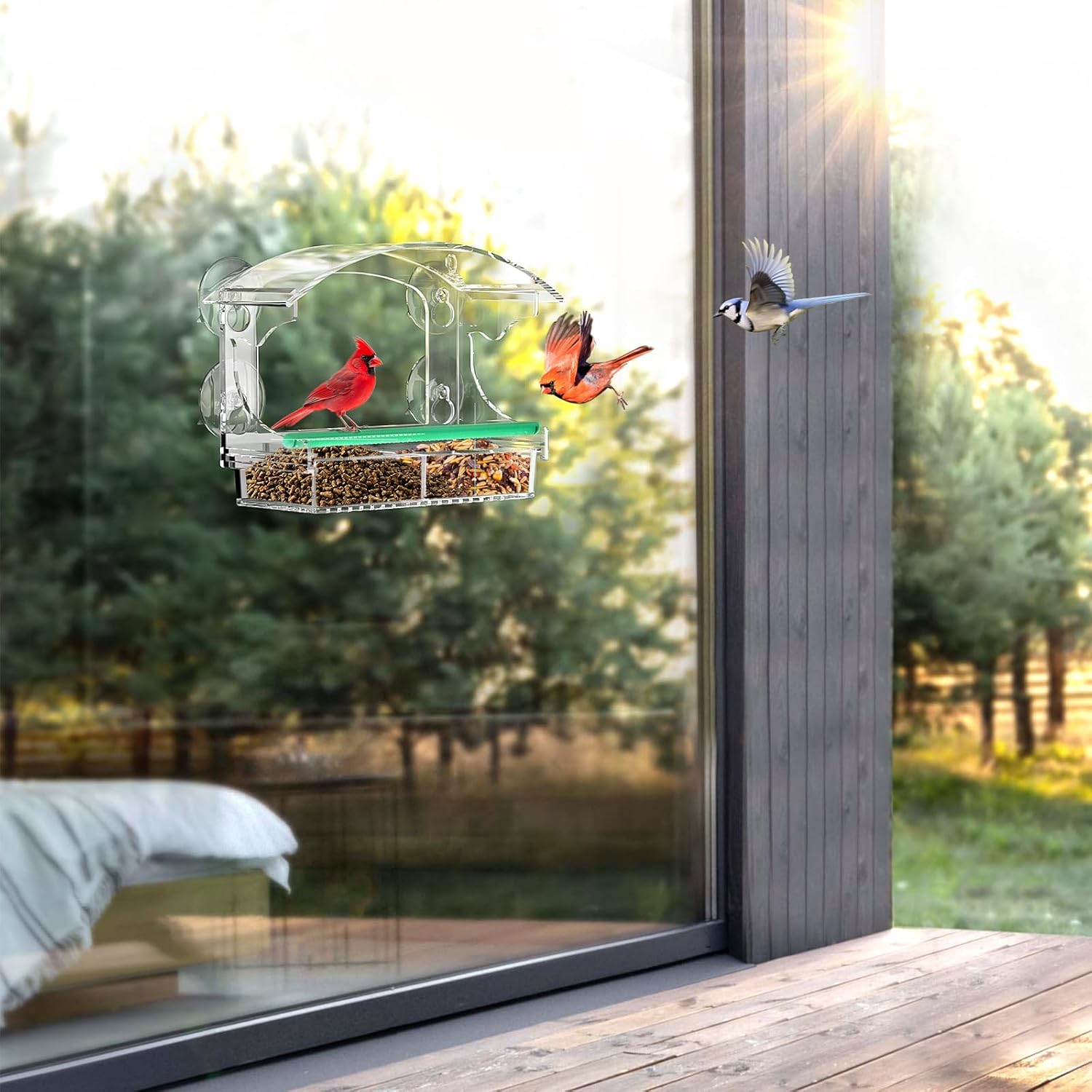 Clear Acrylic Window Bird Feeder for Outside with 4 Strong Suction Cups and Detachable Seed Tray, Highly Transparent Outdoor Viewing Birdfeeder, Wild Bird House Box