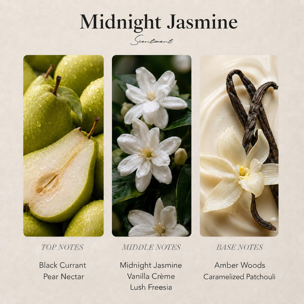 Scentiment French Hotel Diffuser Oil - Premium Hotel Scent with Notes of Clove, Patchouli & Sandalwood Home Scent, Aromatherapy Fragrance Oil Diffuser Refill - 0.68 fl oz (20 mL)