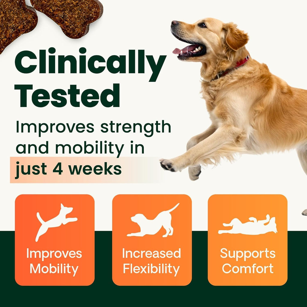 VetriScience Glycoflex 3 Vet Strength Glucosamine for Dogs Hip and Joint Supplement - Clinically Proven Mobility and Joint Supplement with MSM, DMG and Green Lipped Sea Mussel, Chicken, 60 Chews