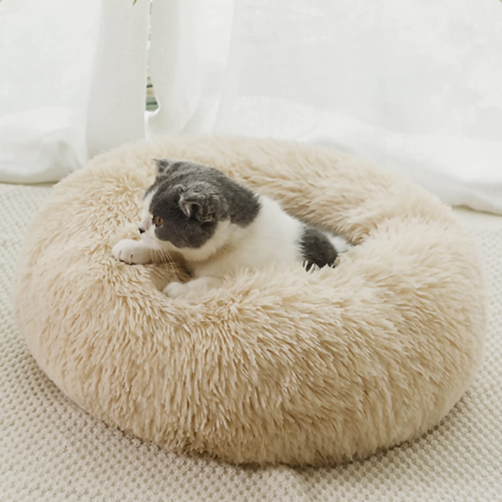 Nisrada Cat Beds for Indoor Cats,15.7 Inch Small Cats Beds, Washable-Round Pet Bed for Puppy and Kitten with Slip-Resistant Bottom
