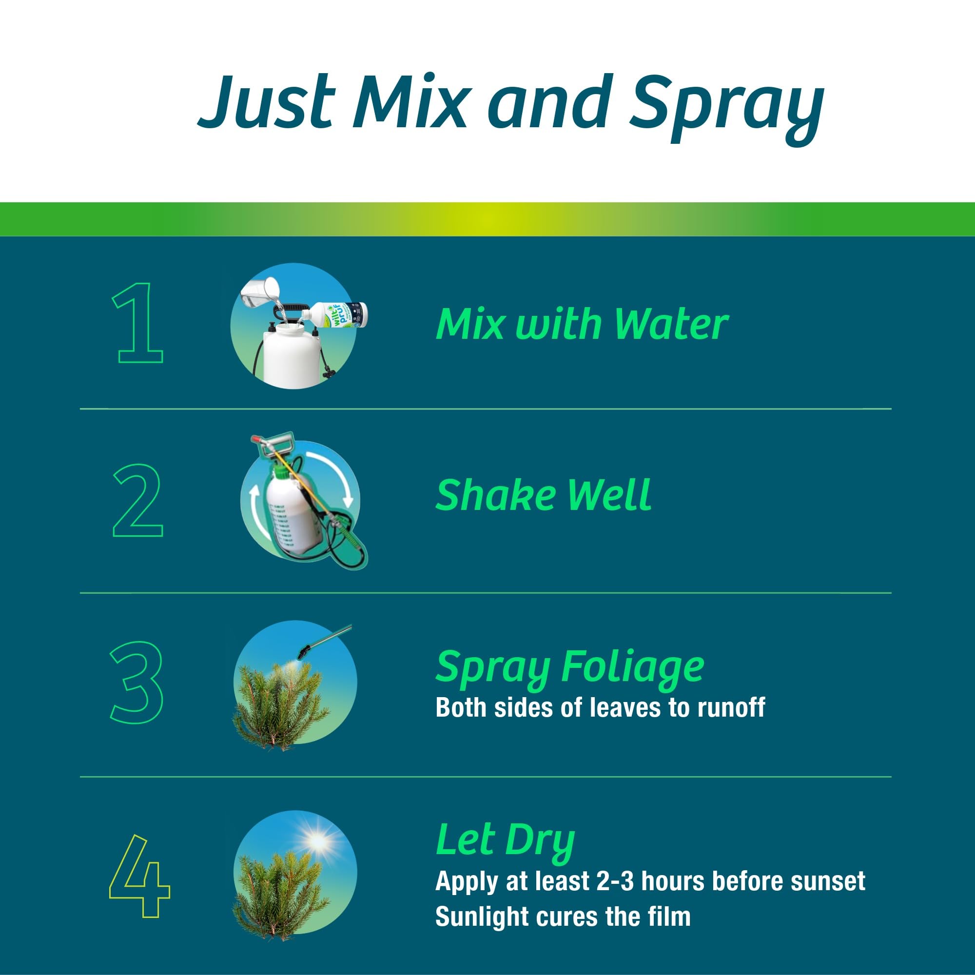 Wilt-Pruf® Concentrate | Protect Against Winter Damage, Drought, and Stress | Just Spray & Let Dry | Locks in Moisture w/Clear Foliar Film | Professional-Grade & Trusted | Replaces Burlap | (1 Gal)