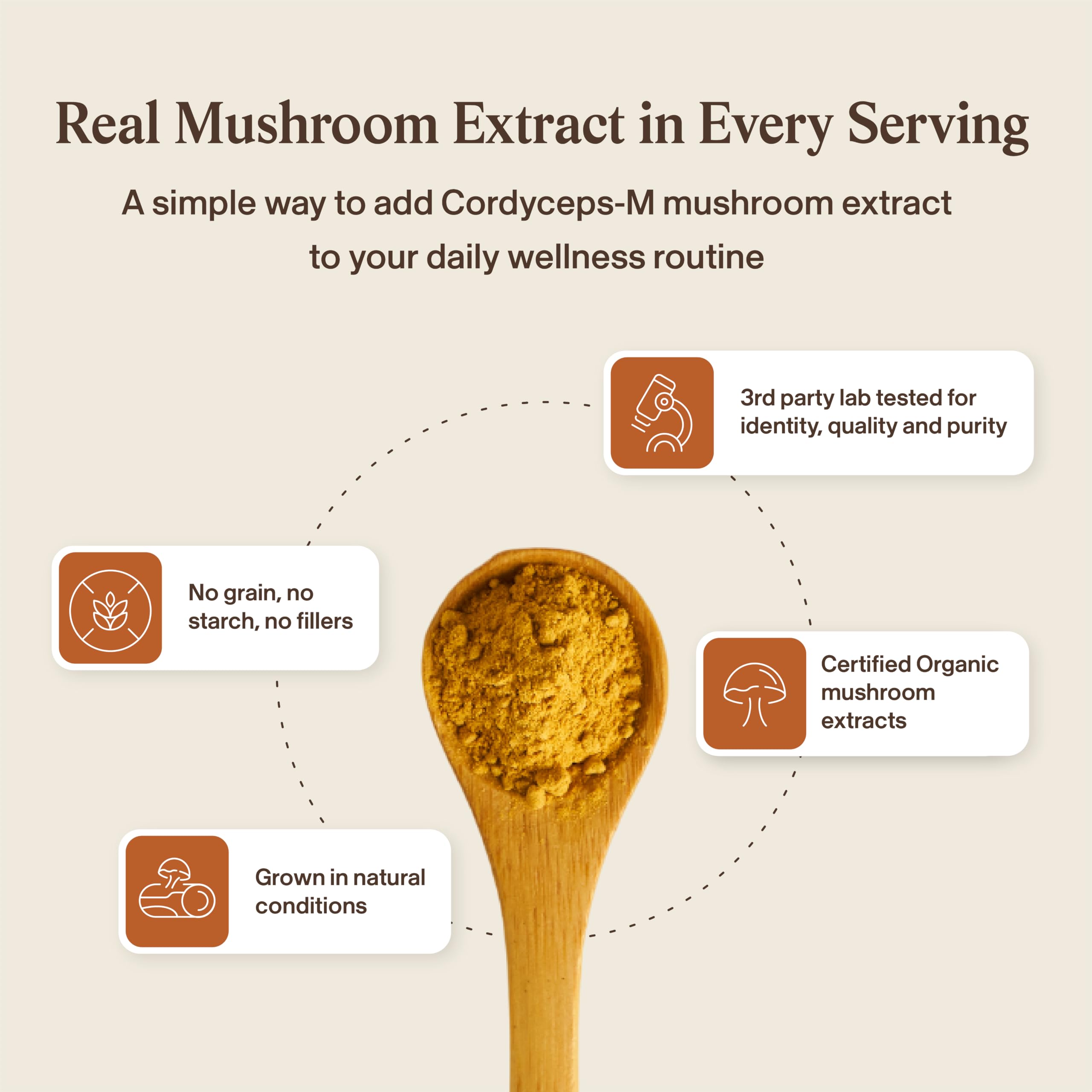 Real Mushrooms Supplement Capsules - Cordyceps Mushroom Powder Rich in Beta Glucans - Mushroom Pills Cordyceps for Energy and Performance - Vegan, Non-GMO, No Grain Fillers, 120 ct