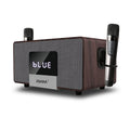 RHM K222 Karaoke Machine for Smart TV with Optical Input–Ultra-Low Latency, 3-Mic Support, 90FT Range, 70W Rich Stereo Sound, Voice Beautifier, Bluetooth/RCA, Perfect for Family Parties
