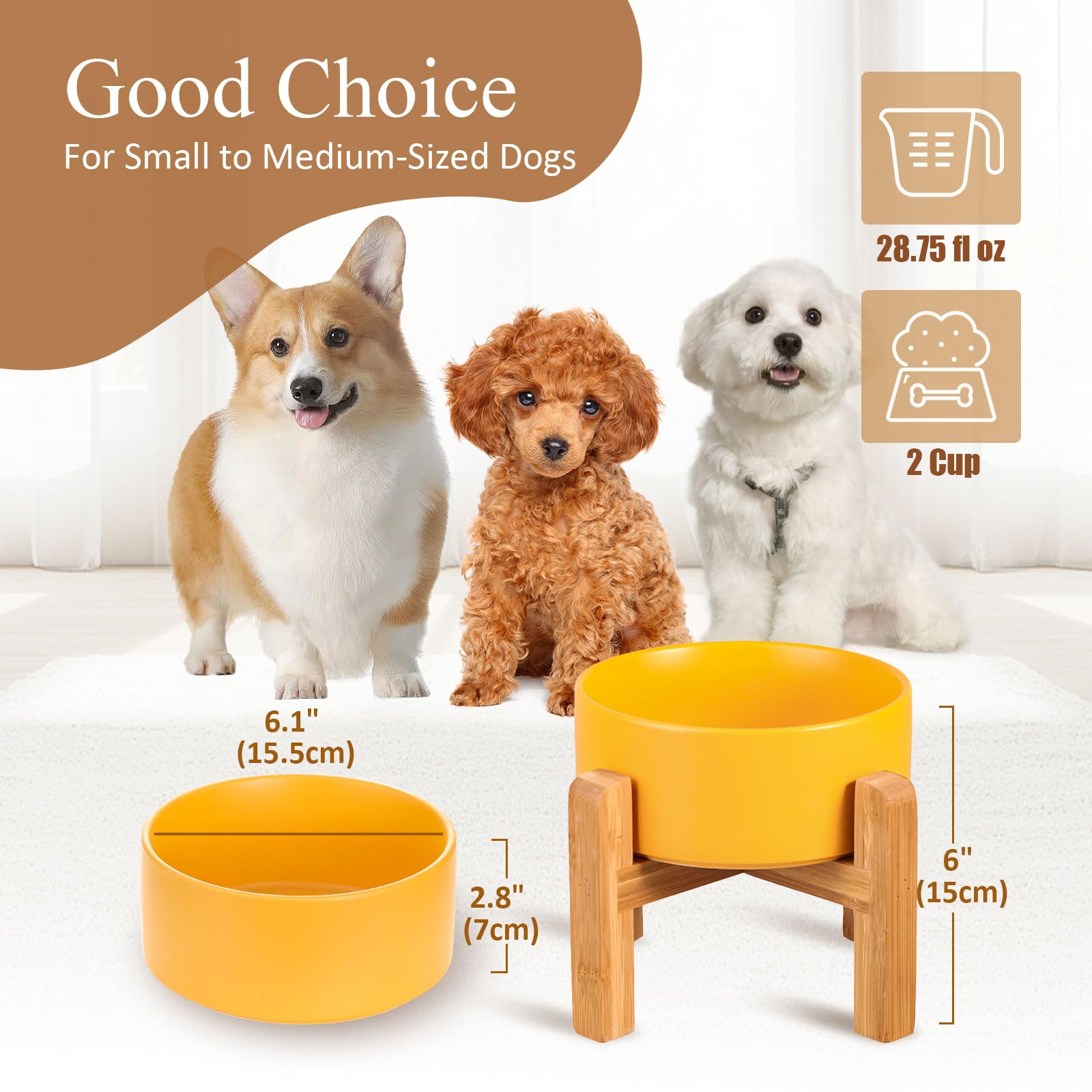 Raised Ceramic Cat Bowl - Cat Food Bowl with Bamboo Stand - Elevated Dog Food Dish for Puppies - Comfort Eating - 13.5 oz - 400 ml - Green