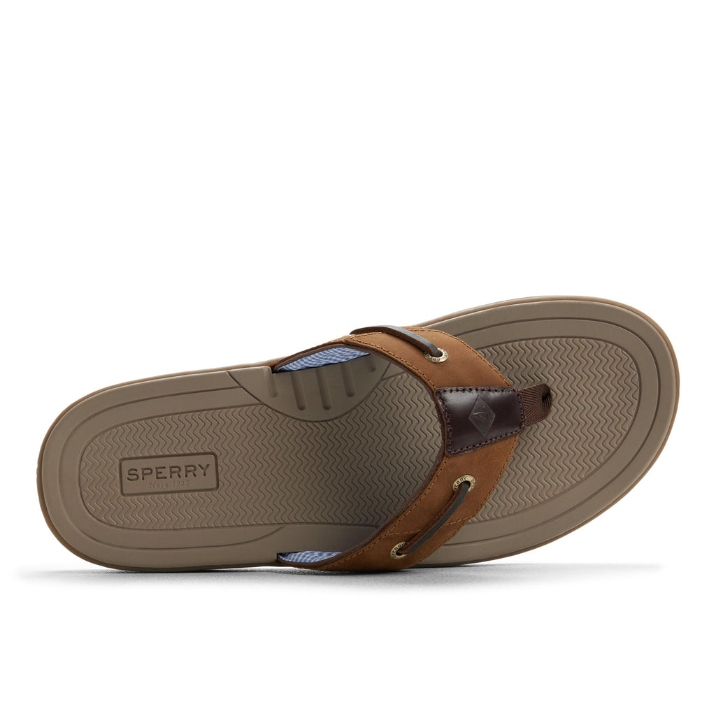 Sperry mens Baitfish ThongSandals