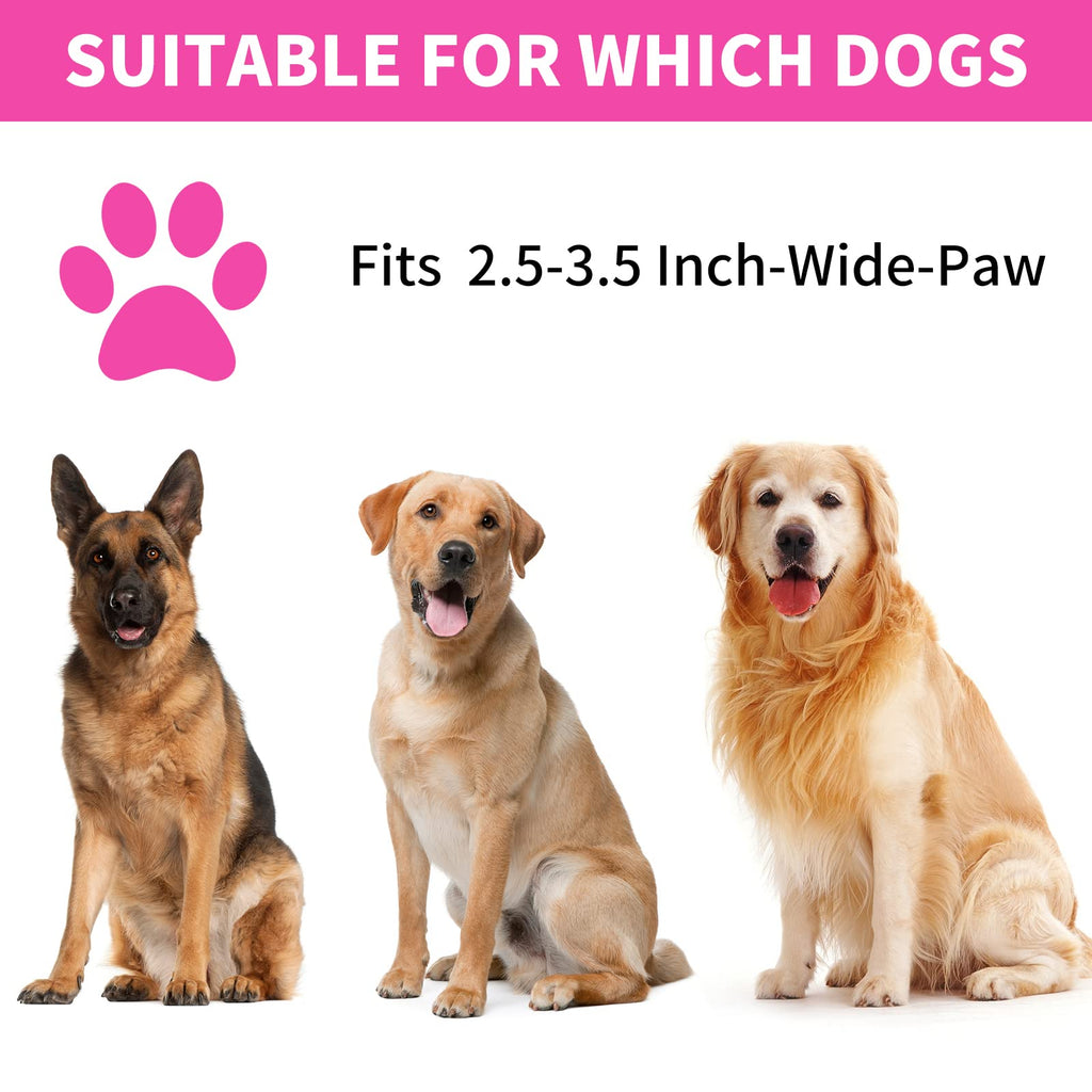 Professional 7 in 1 Dog Paw Cleaner for Dogs & Cats - Includes 1 Portable Paw Washer, 1 Bath Brush, 2 Dog Toothbrushes and 3 Absorbent Towels Note: Fits Paws up to 2 Inches Wide (Small, Black)