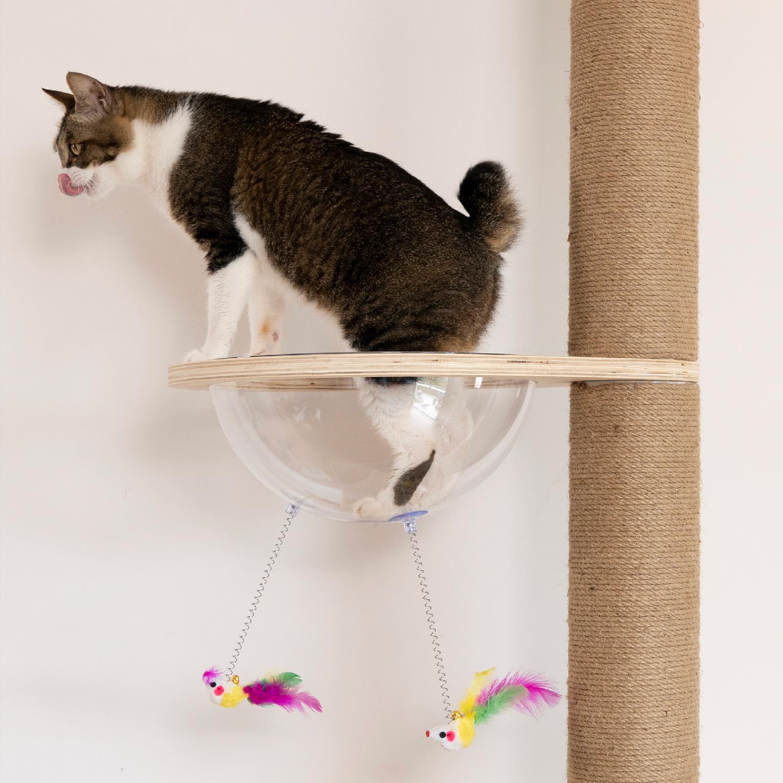 Floor-to-Ceiling Cat Tree with Natural Sisal Rope Scratching Post - Adjustable Height (55-119 Inches) - Modern Cat Activity Tree, Cat Scratcher Post