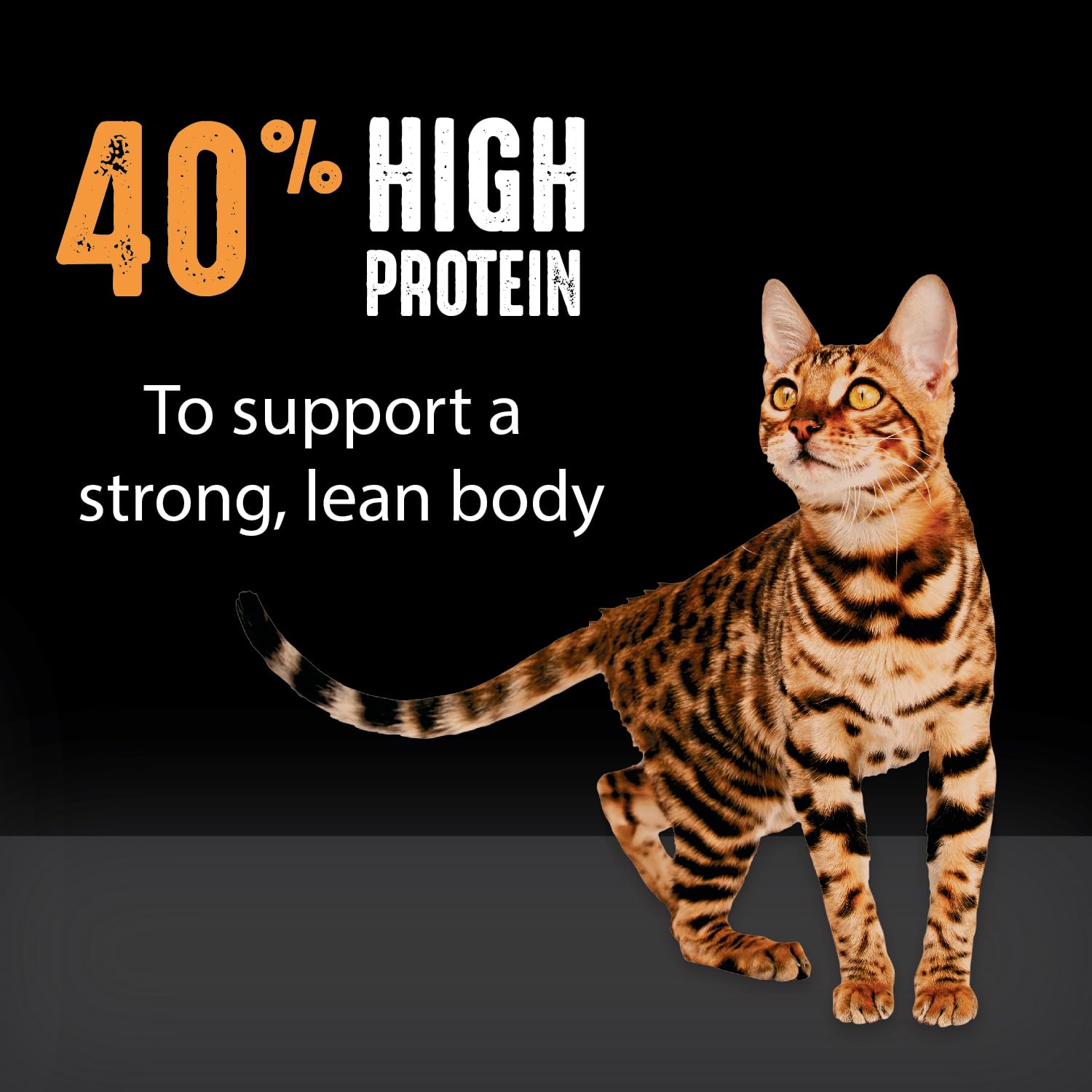 CRAVE Grain Free Indoor Adult High Protein Natural Dry Cat Food with Protein from Chicken & Salmon, 2 lb. Bag