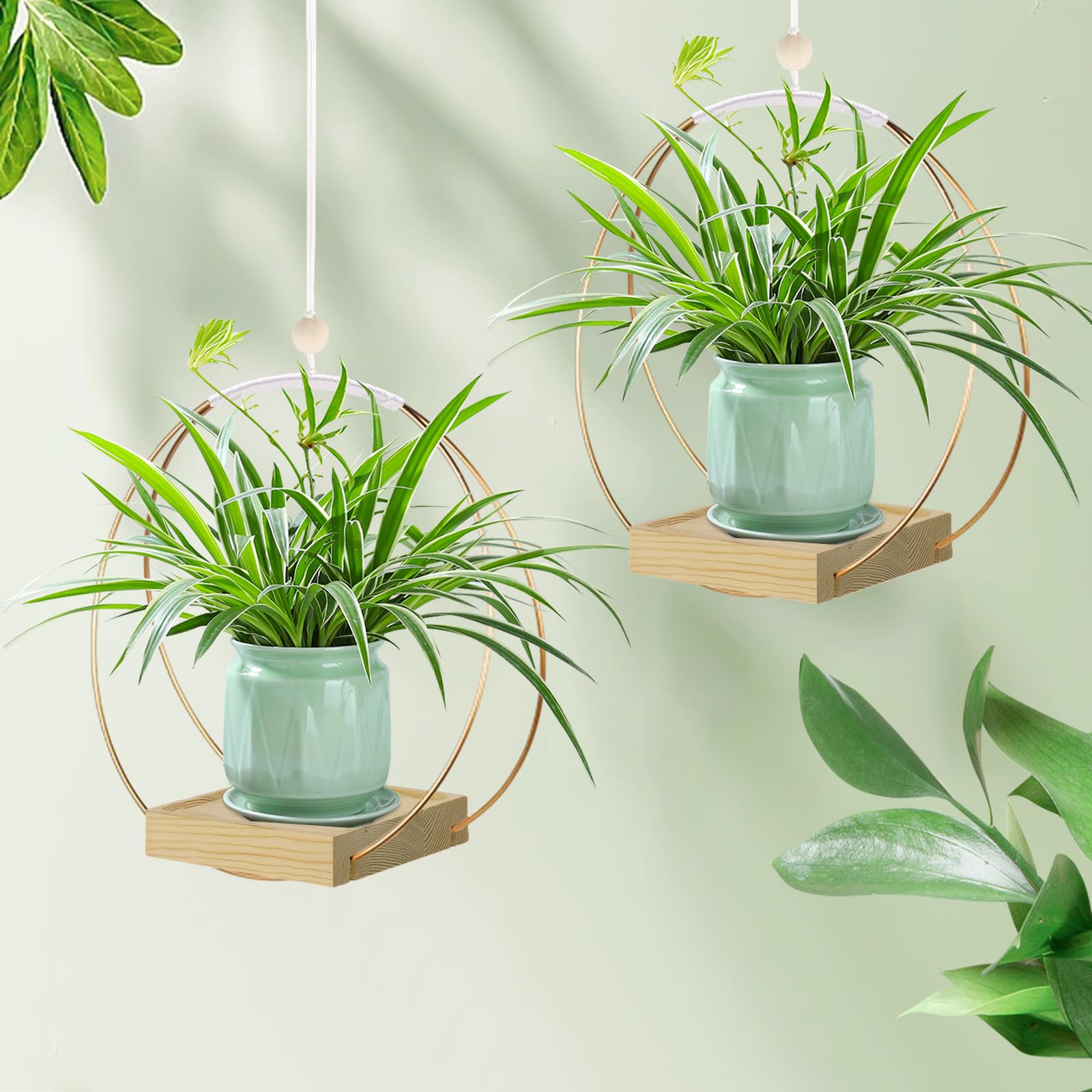 Hanging Planter for Indoor Plants, Black Plant Hanger Indoor with Sturdy Wood Base, Modern Boho Macrame Plant Hanger for 3-5.5 Inch Pot, Hanging Wall Ceiling Window Home Decor (Pots Not Included)
