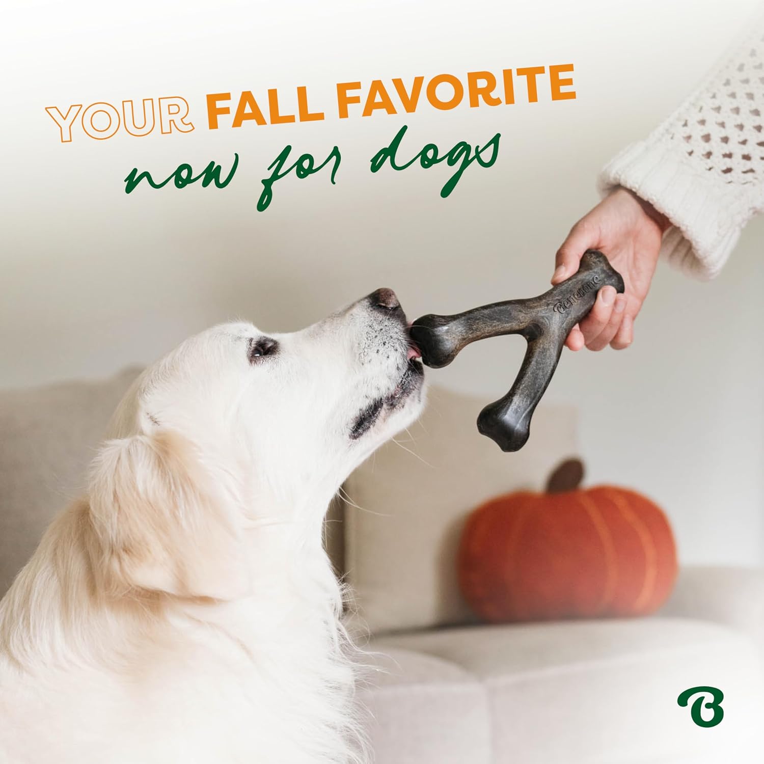 Benebone Pumpkin Spice Wishbone – Limited Edition Flavor, Durable Dog Chew Toy for Aggressive Chewers, Made in USA, Medium