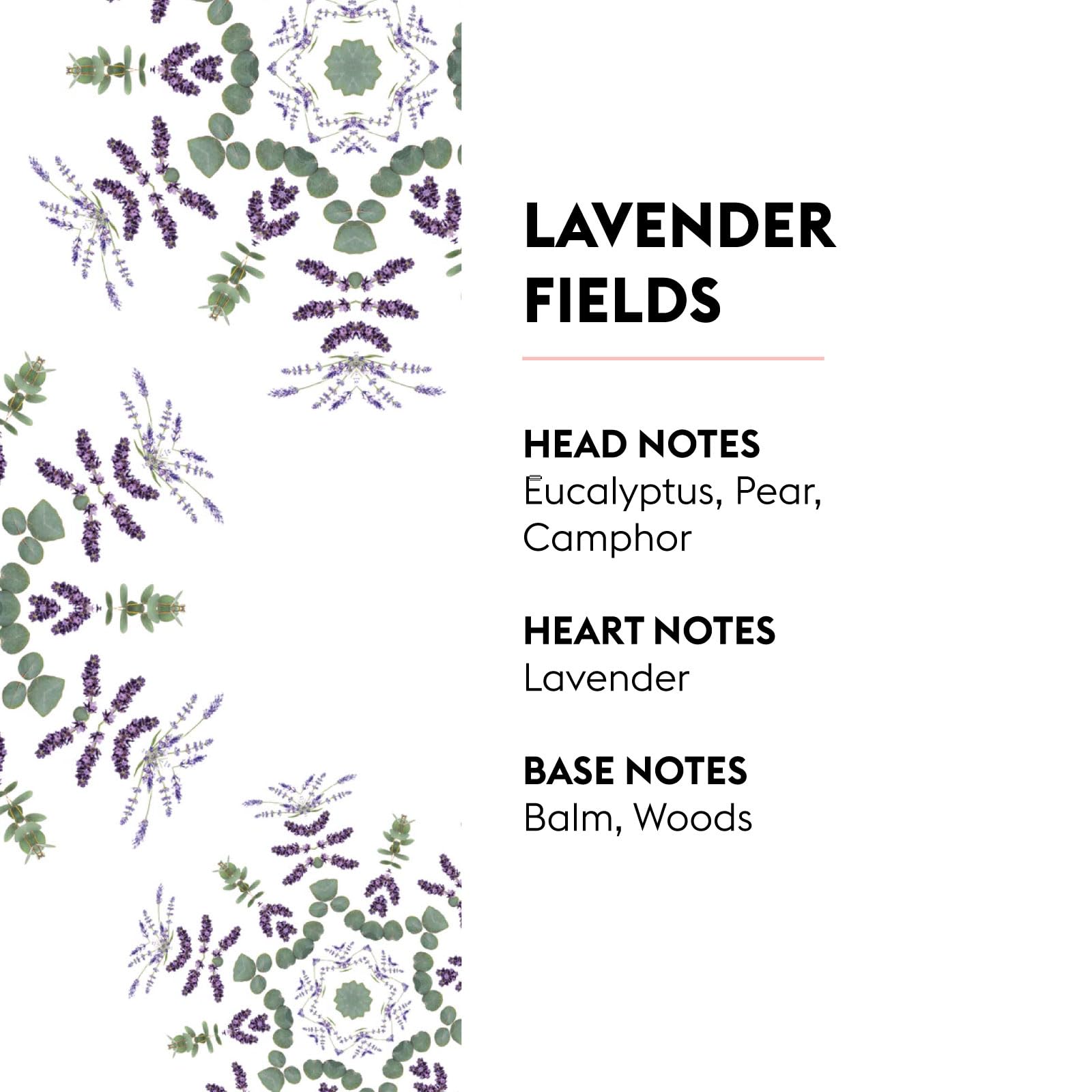 MAISON BERGER Lampe Berger Refill, 1 L, Agaves Garden | Catalytic Lamp Fragrance Refill, Helps Neutralize Odors, ~160 h Fragrance Diffusion, Made in France