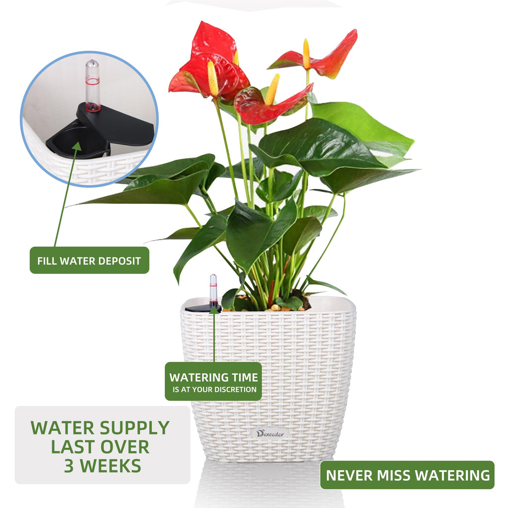 Dexceder 9x8 Self Watering Planter (Black High Gloss) | Inner Mat Design, Thickened Table Flower Plant Pot with Water Level Indicator Indoor Outdoor