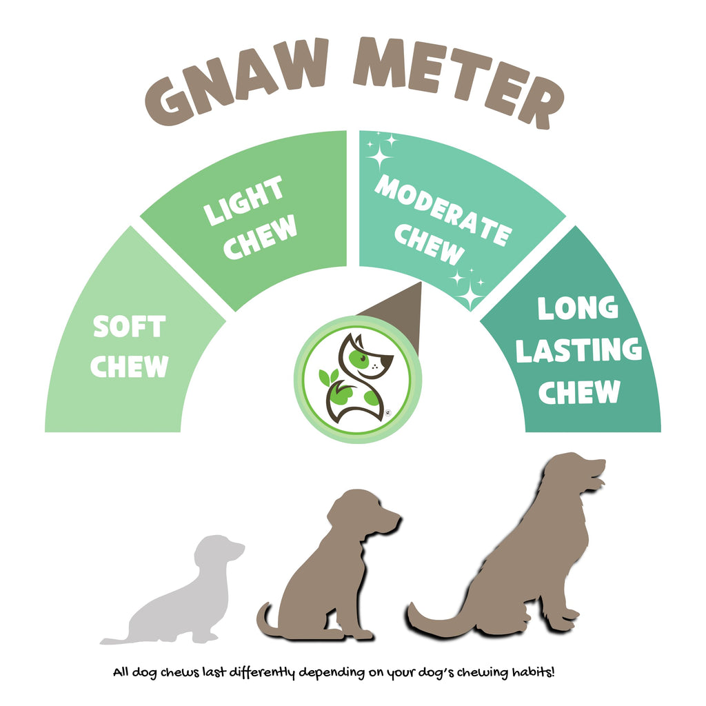 Nature Gnaws Beef Gullet Chews for Small Dogs 4-5" (20 Count) - Natural Beef Jerky Stick Dog Chew Treats - Rawhide Free