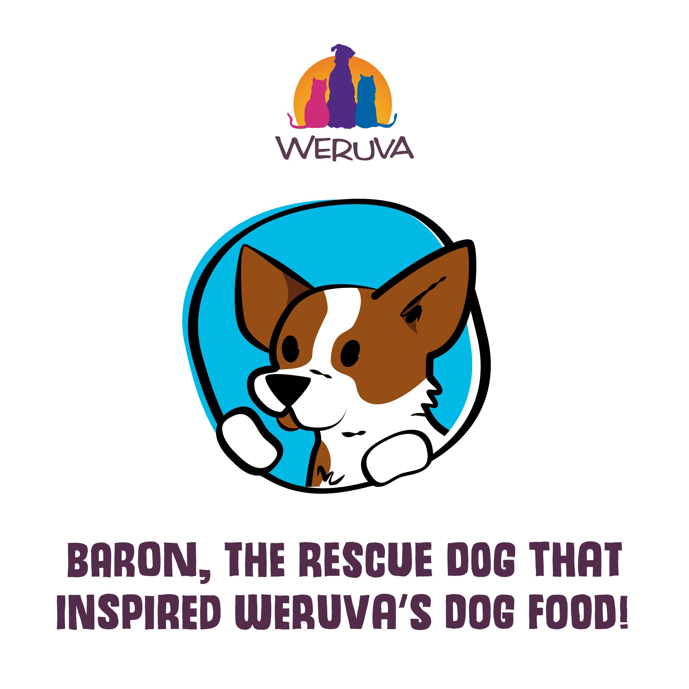Weruva Classic Dog Food, Variety Pack, Baron's Batch, Wet Dog Food, 5.5oz Cans (Pack of 24)