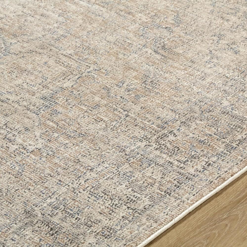 Livabliss x Galey Alix Maria Elena III Vintage Medallion Area Rug, 5'3" x 7' (5' x 7'), Brown