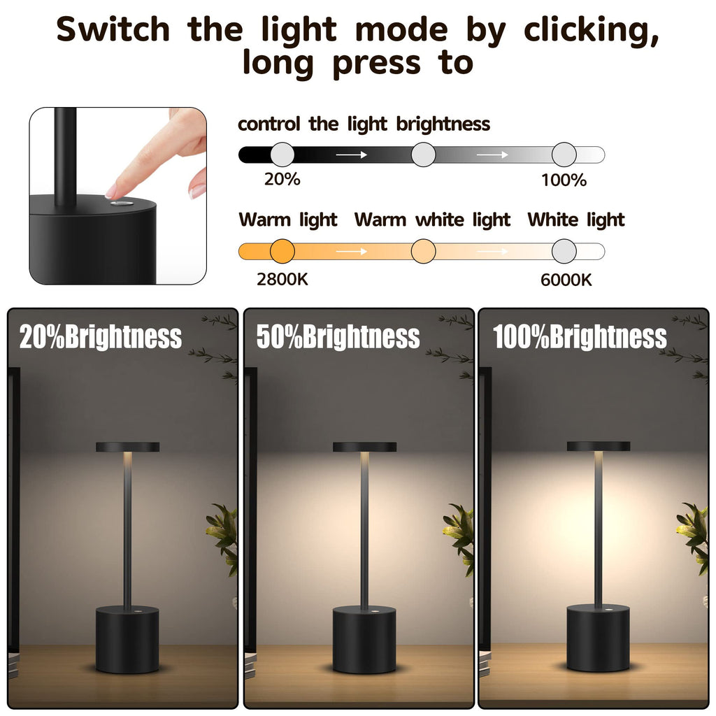 2Pack Cordless Table Lamp, Rechargeable LED Battery 5000mAh Metal USB Portable Powered Desk Lamp, 3 Levels Brightness Light for Restaurants Outdoor (2pack 10.25in Titanium)