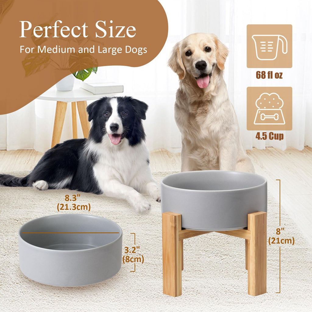 Raised Ceramic Cat Bowl - Cat Food Bowl with Bamboo Stand - Elevated Dog Food Dish for Puppies - Comfort Eating - 13.5 oz - 400 ml - Green