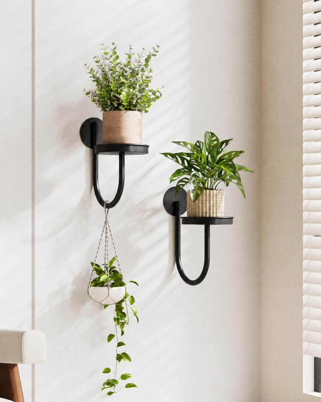 Bamworld Hanging Planters for Indoor Plants Wall Plant Holder Plant Hanger Indoor Wall Planters Window Plant Shelves Hanging Plant Holder Window Plant Hanger Plant Decor Black 3pcs