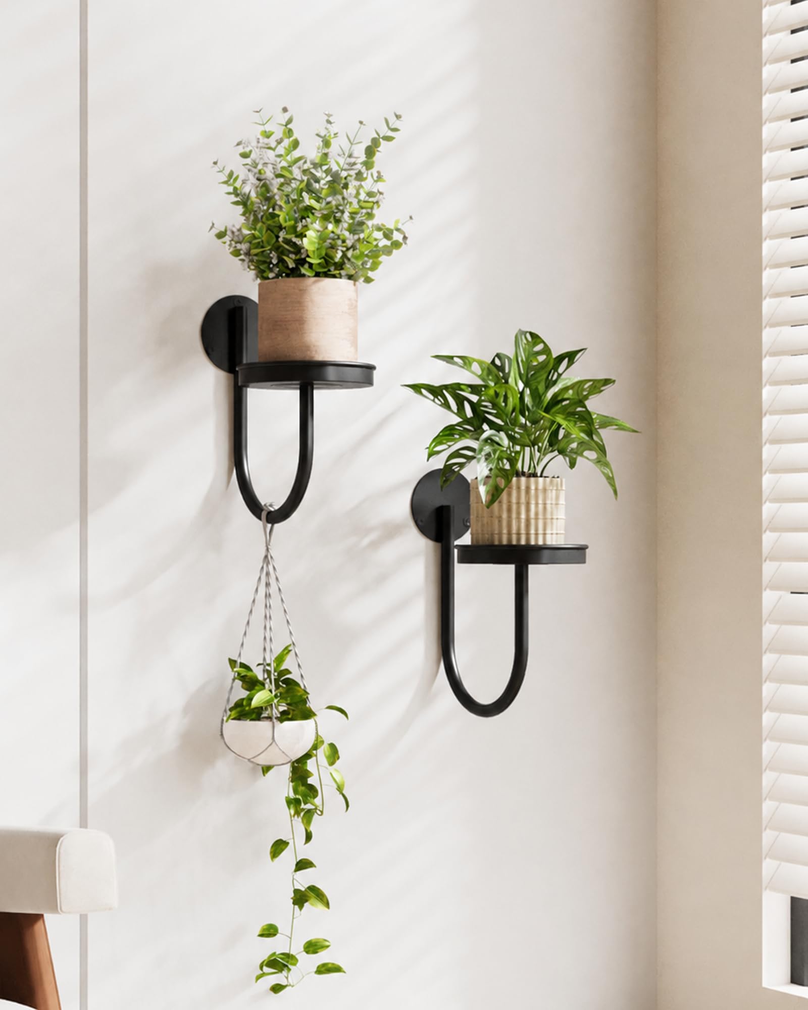 Bamworld Hanging Planters for Indoor Plants Wall Plant Holder Plant Hanger Indoor Wall Planters Window Plant Shelves Hanging Plant Holder Window Plant Hanger Plant Decor Black 3pcs