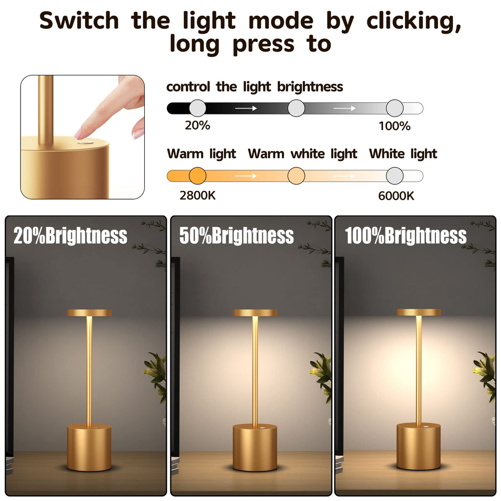 2Pack Cordless Table Lamp, Rechargeable LED Battery 5000mAh Metal USB Portable Powered Desk Lamp, 3 Levels Brightness Light for Restaurants Outdoor (2pack 10.25in Titanium)