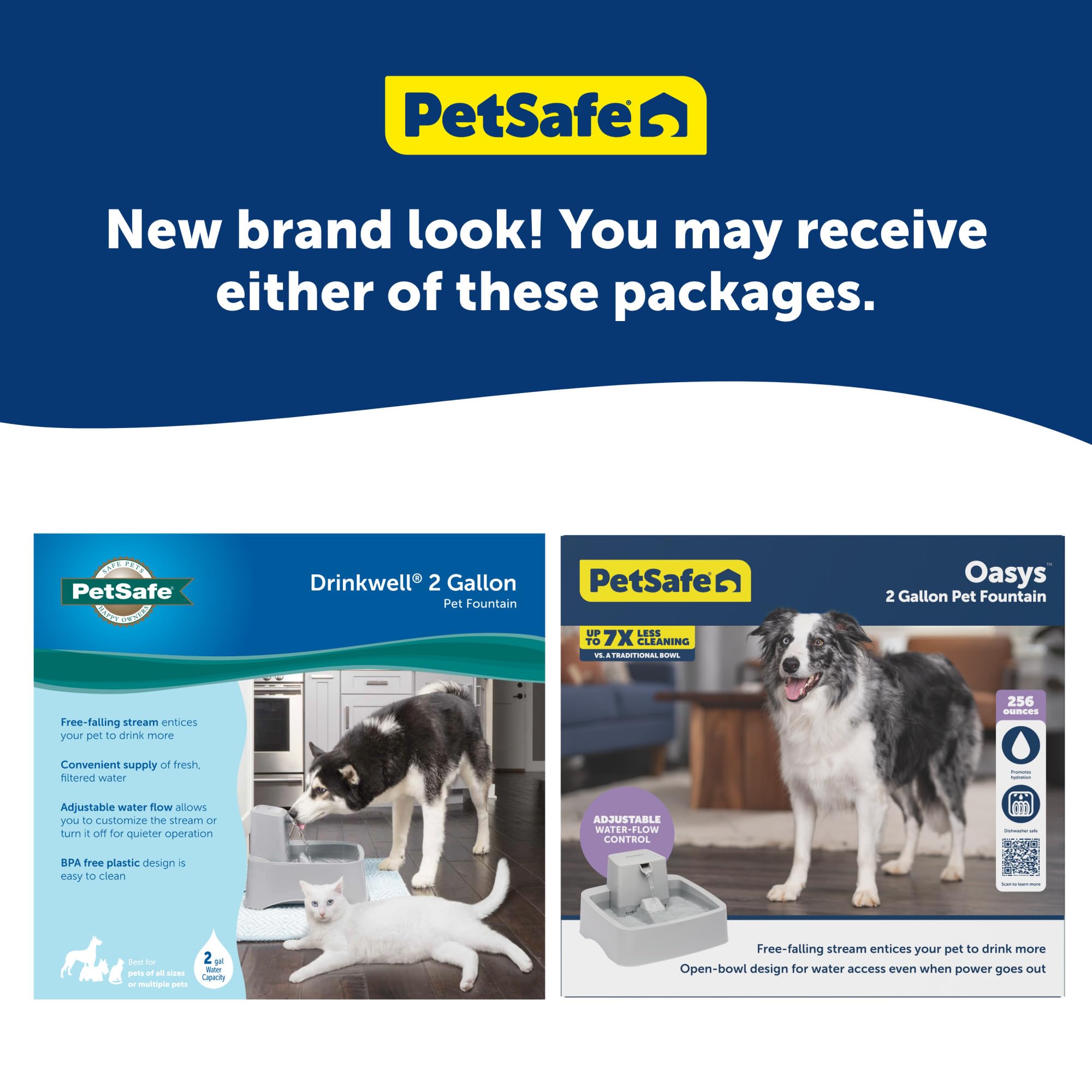 PetSafe Oasys 1 Gallon (128 Ounce) Pet Fountain - Cat or Small to Medium Breed Dog Water Fountain - Dishwasher Safe Filtered Water Dispenser with Flow Control - Filters Included - Easy to Clean