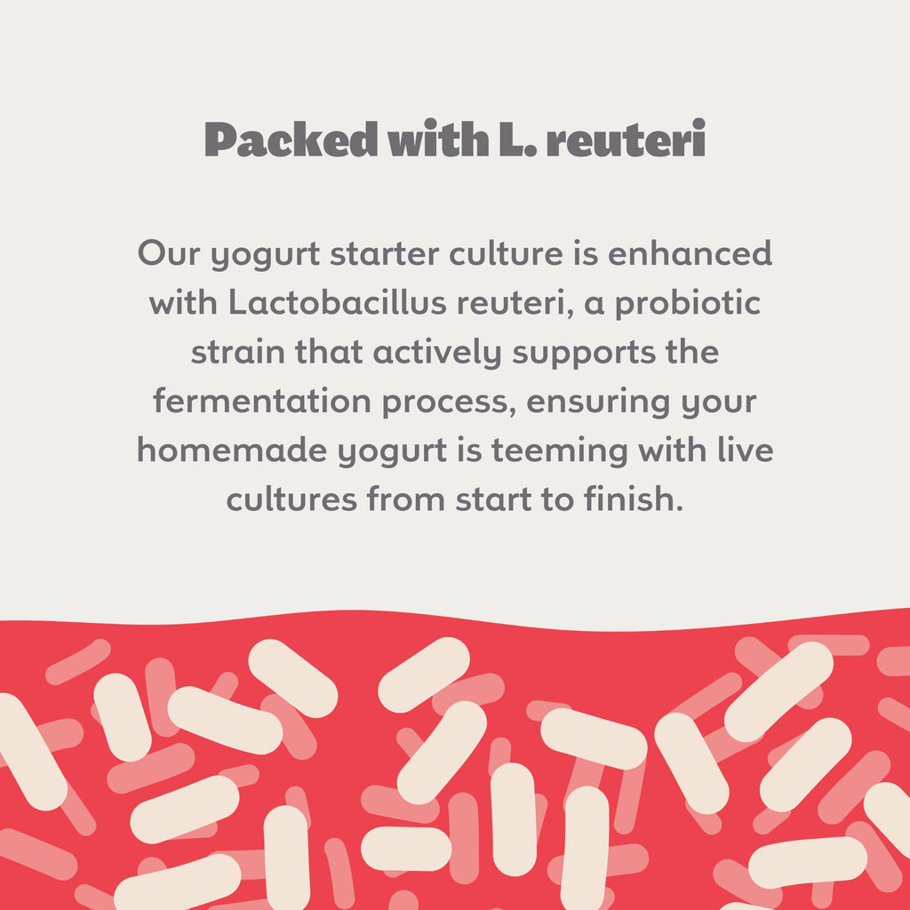 Coolinario L Reuteri Yogurt Starter (10-PK, 1.5g Sachets) Reuteri Probiotic | Yogurt Starter Culture with Lactobacillus Reuteri Probiotics, Non-GMO, No Preservatives, Gluten Free, Creamy & Delicious