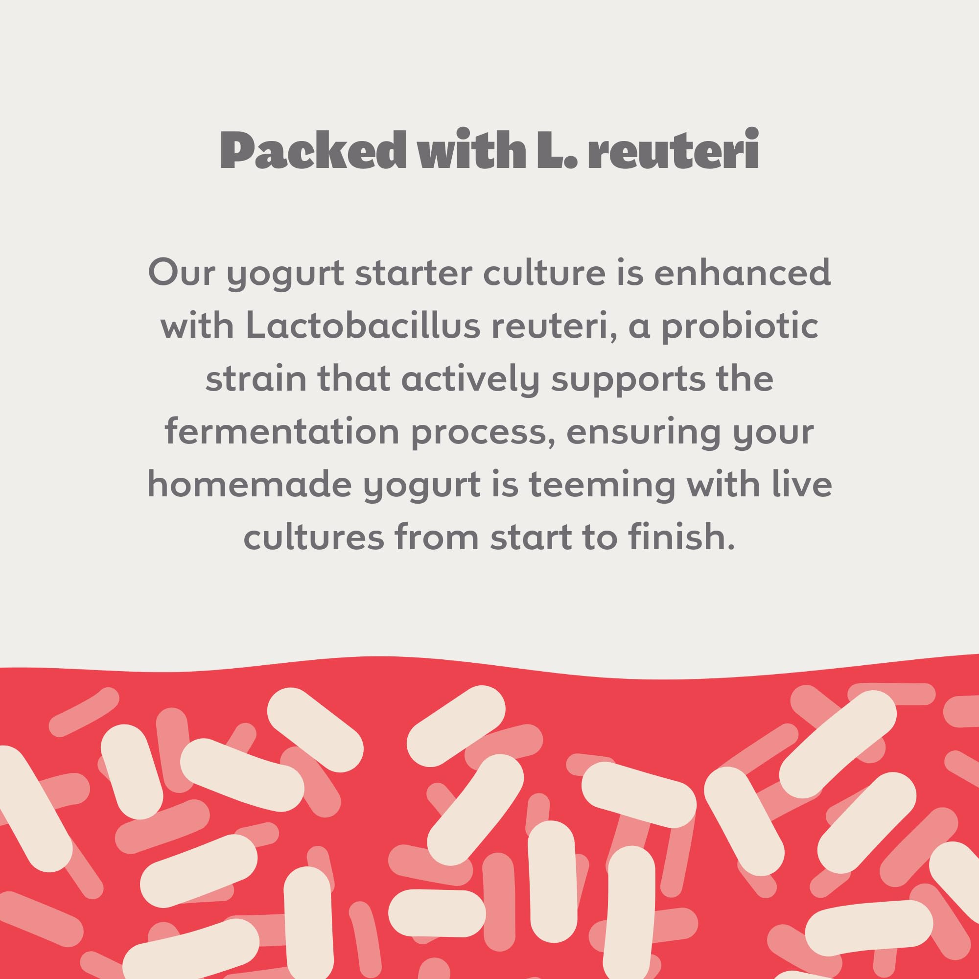 Coolinario L Reuteri Yogurt Starter (10-PK, 1.5g Sachets) Reuteri Probiotic | Yogurt Starter Culture with Lactobacillus Reuteri Probiotics, Non-GMO, No Preservatives, Gluten Free, Creamy & Delicious