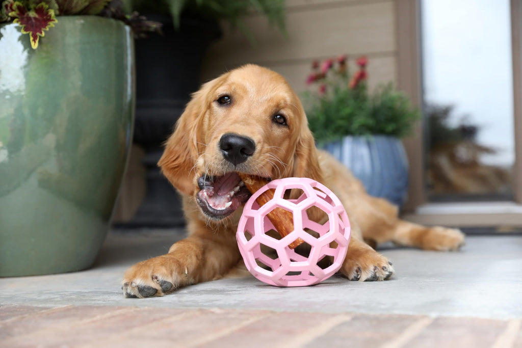 JW Pet HOL-ee Roller™, Dog Toy Puzzle Ball, Natural Rubber, Small (3 Inch Diameter), Blue