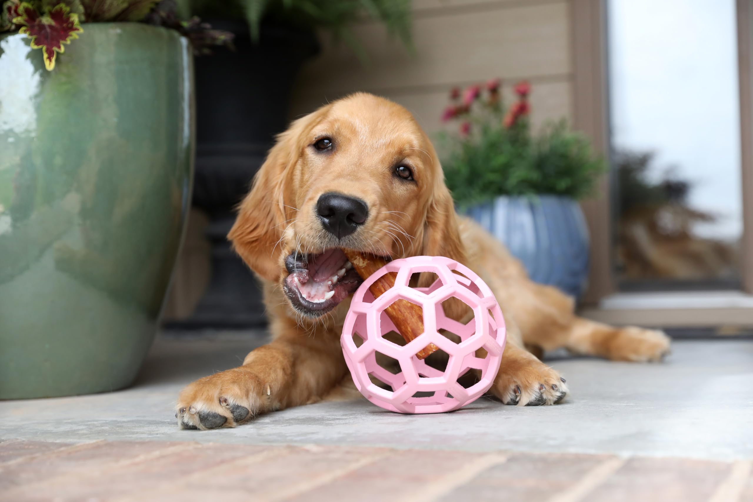 JW Pet HOL-ee Roller™, Dog Toy Puzzle Ball, Natural Rubber, Small (3 Inch Diameter), Blue