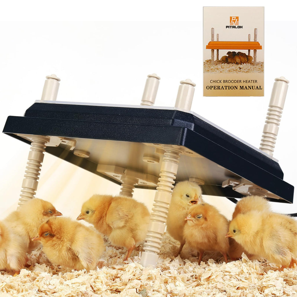 Brooder Heater for Chicks: Chick Brooder Heating Plate with Easy- Cleaning Plate Poultry Coop Heater Chicks Warmer 10" x 10" for 15 Chicks Adjustable Height Brooding Heater 15 Watts