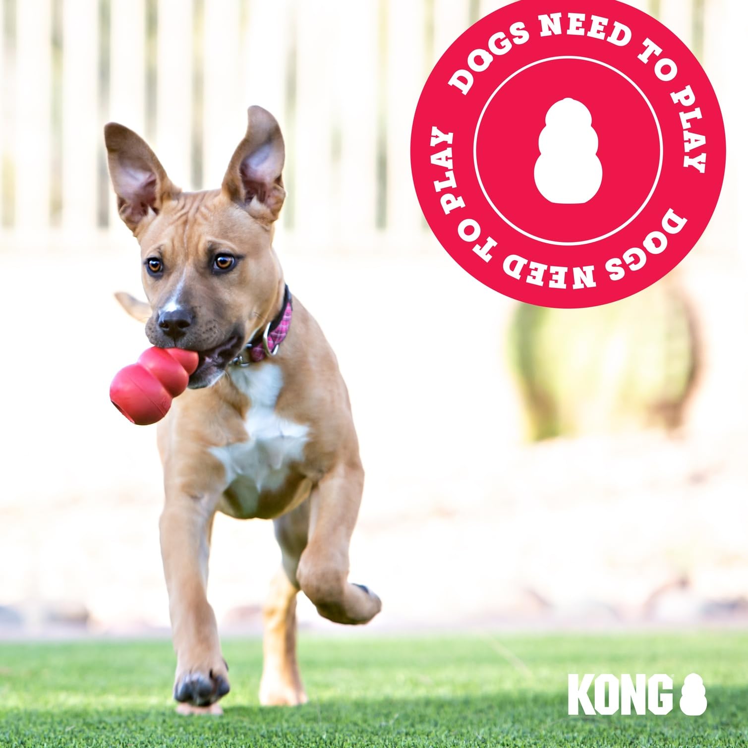 KONG Extreme Dog Toy - Fetch & Chew Toy - Treat-Filling Capabilities & Erratic Bounce for Extended Play Time Most Durable Natural Rubber Material - for Power Chewers - for Small Dogs