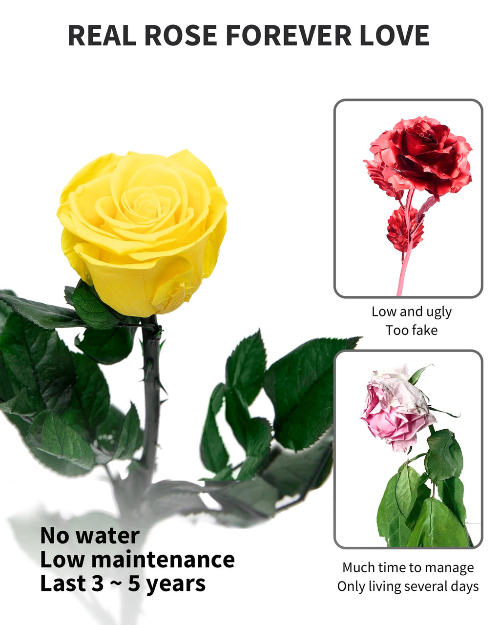 Flowers for Delivery Prime, Preserved Roses Flower Gifts for Women, Real Roses Single Rose Presents for Her, Mom Birthday Gifts from Daughter, Valentines Flowers Red Roses