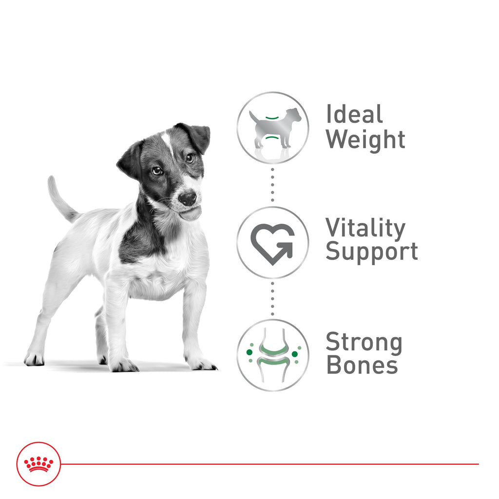 Royal Canin Size Health Nutrition Small 8+ Senior Dry Dog Food, 2.5 lb Bag