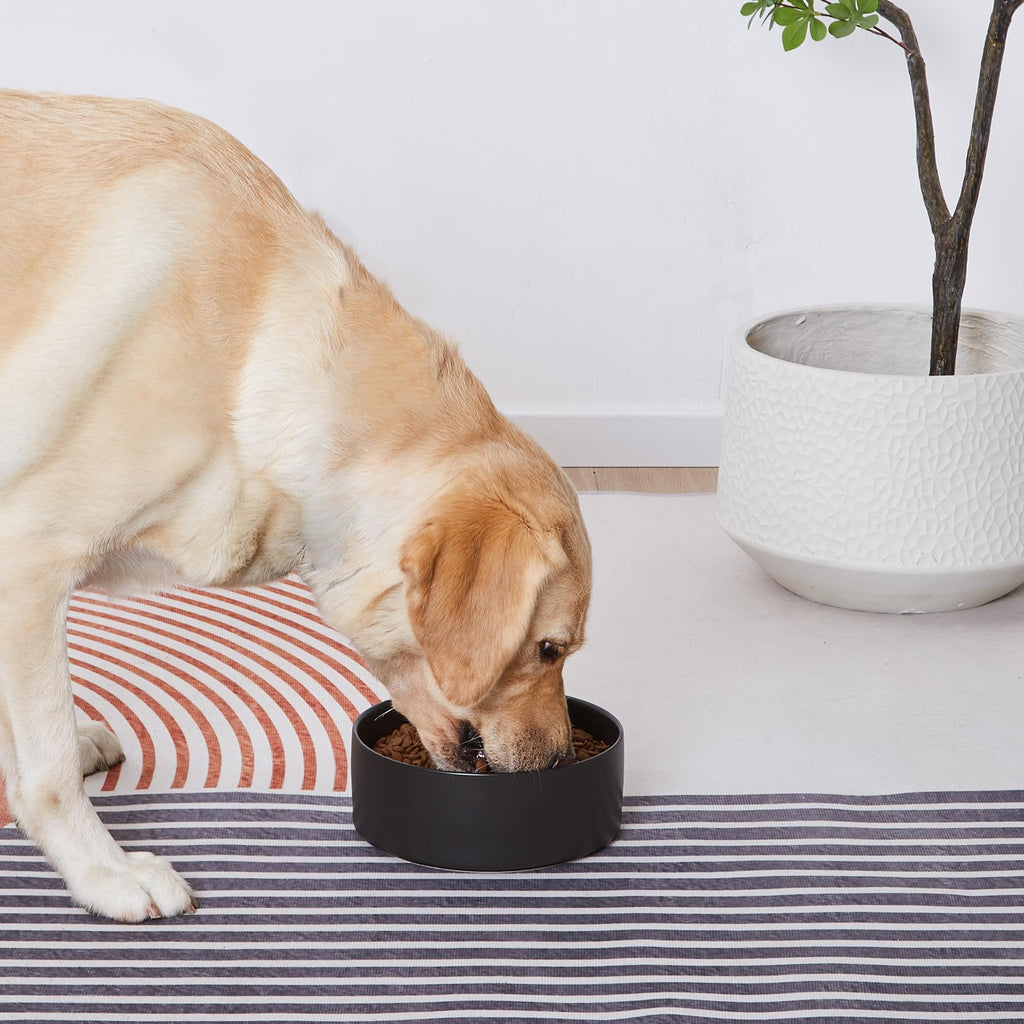 6'' Ceramic Raised Dog Bowl - 30Oz Dog Food & Water Bowl with Elevated Non-Slip Bamboo Stand, Dishwasher & Microwave Safe, Anti Vomiting Heavy Duty Pet Bowl for Small and Medium Dogs, Black