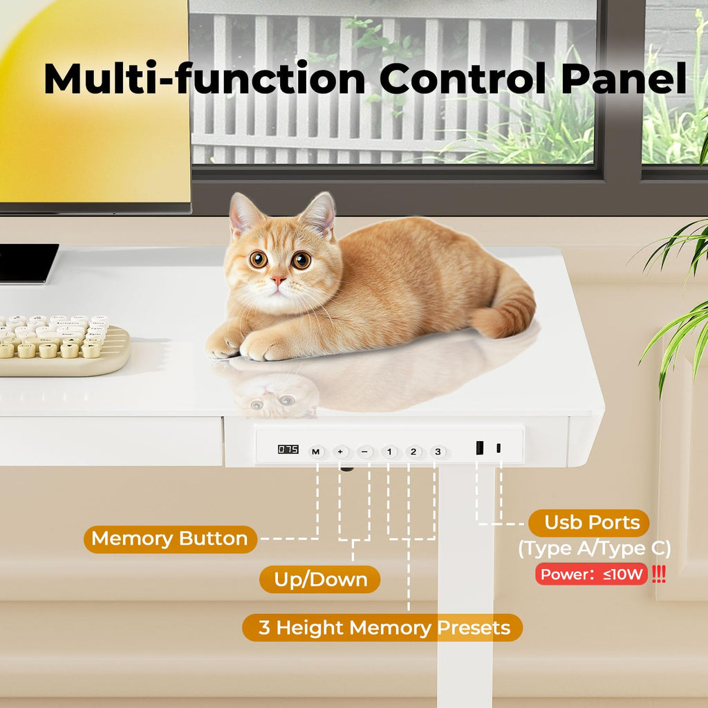 Glass Electric Standing Desk with Drawer, 35" x 20" Whole Piece Tabletop Samll Sit Stand Table, Height Adjustable Workstation with Storage & USB Ports, Quick Install Home Office Desk