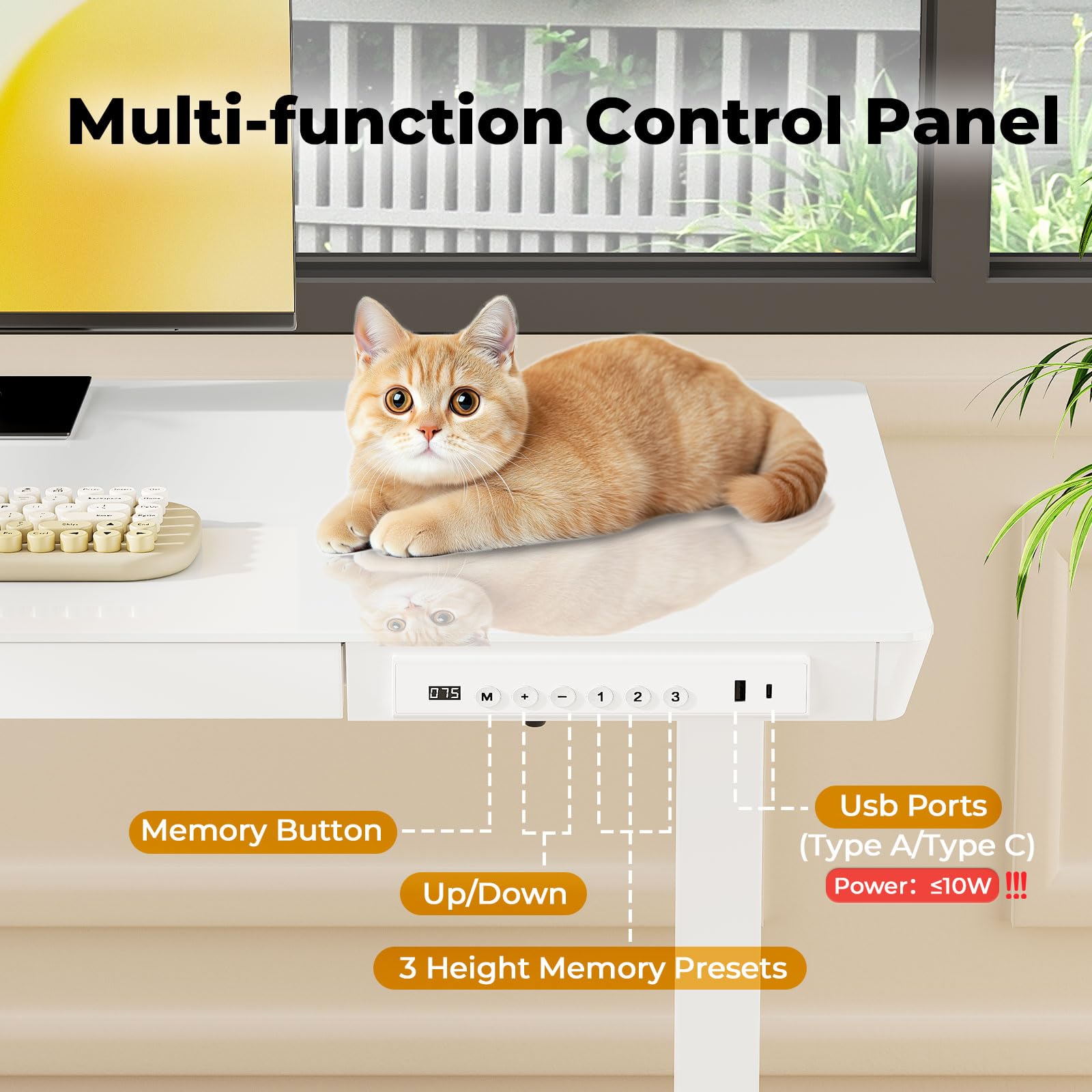 Glass Electric Standing Desk with Drawer, 35" x 20" Whole Piece Tabletop Samll Sit Stand Table, Height Adjustable Workstation with Storage & USB Ports, Quick Install Home Office Desk