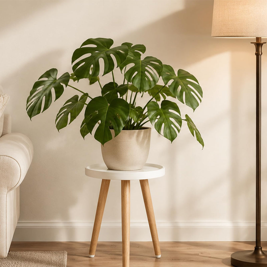 KGPLOME Plant Stand Indoor,Mid Century Walnut Wood Plant Table, Heavy Duty Metal Tall Flower Pot Stand,Modern Round Small Side End Table With Raised Design(12"x17")